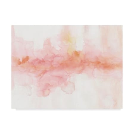 Lisa Audit 'Rainbow Seeds Abstract' Canvas Art,18x24